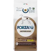 Forza10 Forza 10 Intestinal Colon Phase 1 med lam - 10 kg