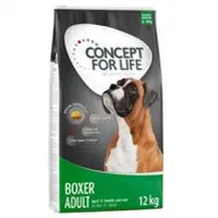 Concept for Life Boxer Adult - 12 kg
