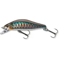 Daiwa Tournament Wise Minnow 50 Mm