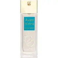 Alyssa Ashley Ambre 100ml Eau De Parfum
