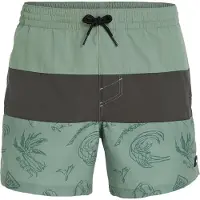 O'Neill Mix & Match Cali Block 15'' Boardshorts grønn