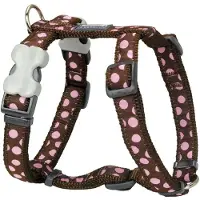 Red Dingo Style Moles Hundesele