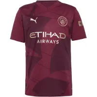 Puma Manchester City 24/25 Third Jersey Men, Clothing, Dark Jasper, XXL