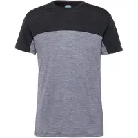 Icebreaker Merino 125 Cool-lite Sphere Iii Colour Block Kortarmet T-skjorte
