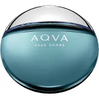 Bvlgari Bulgari Aqva da uomo EDT 100ml