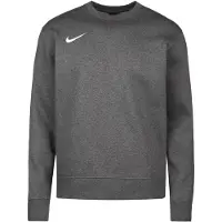 Nike Park 20 Crew Fleece Sweatshirt 071: Størrelse - Small