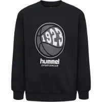Hummel Loksi Collegegenser