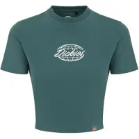 Dickies Globe Kortarmet T-skjorte