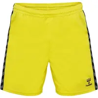 Hummel Authentic Pl Shorts