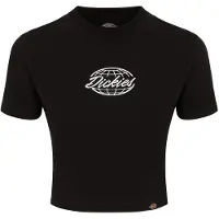 Dickies Globe Kortarmet T-skjorte