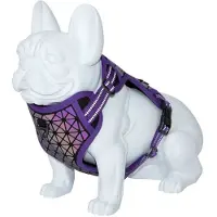 Freedog Boreal Hundesele