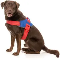 Fuzzyard Patriot Hundesele