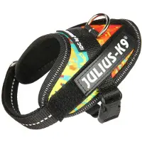 Julius-K9 Idc Power Baby Hundesele