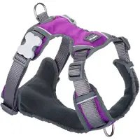 Red Dingo Padded Hundesele