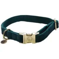 Kentucky Velvet Hundehalsbånd