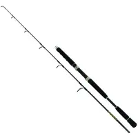 Seika Ardens Jigging Stang
