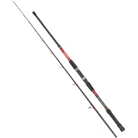 Kali Kunnan Dokoro Jigging Stang