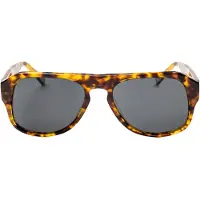 Ocean Sunglasses Roy Solbriller