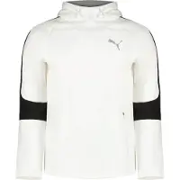 Puma Evostripe Collegegenser