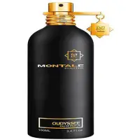 Montale Oudyssee 100ml Parfymevann