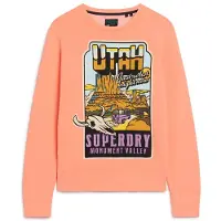 Superdry Neon Travel Loose Collegegenser