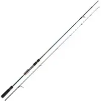 Daiwa Tournament Ags Spinnestang