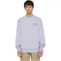 Dickies Aitkin Chest Collegegenser