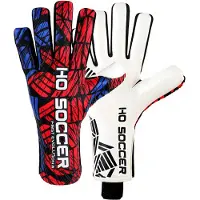 Ho Soccer Evolution Shield Keeperhansker