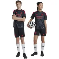 Adidas Benfica 24/25 Borte Junior T-skjorte Med Korte Ermer