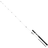 Daiwa Saltist Off Shore Jigging Stang