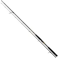 Daiwa Morethan Branzino Ags Spinnestang