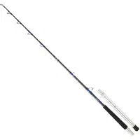 Daiwa Saltiga Fiskesnelle