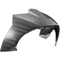 LS2 Ff805 Carbon Ece Hjelmens Bakspoiler