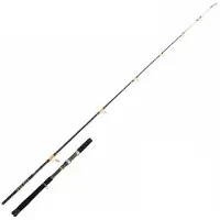 Cinnetic Crazy Kayak Gold Edition Spinnestang