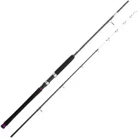 Cinnetic Sky Line Tanera Jigging Stang