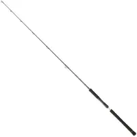 Daiwa Legalis Casting Sakte Jiggingstang
