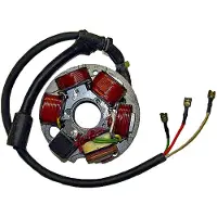 Sgr 6 Poles Piaggio Ape Fl3base Stator
