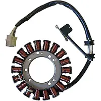 Sgr Trifase 18 Poles Dragstar 1100 Stator