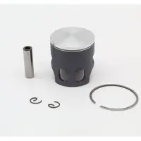 VERTEX Polini Bws D46.98 D 1 Seg Stempelsett