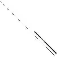Daiwa Saltist Off Shore Spinnestang
