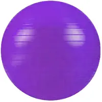 Softee Flexi Fitball
