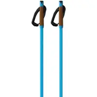 Fischer Storm Gtx M Spaserstokker