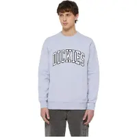 Dickies Aitkin Collegegenser