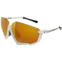 Scicon Aerojet Titanium Solbriller