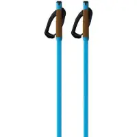 Fischer Storm Gtx L Spaserstokker