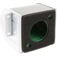 Champion Caf0508 Luftfilter