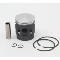 VERTEX Minarrv Polini D46.96 C Stempelsett