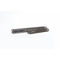 Öhlins 08419-10 Gaffelfjærsett