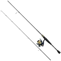 Daiwa Rs602lfsaf+rs1000c Spinnende Combo