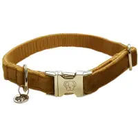 Kentucky Velvet Hundehalsbånd